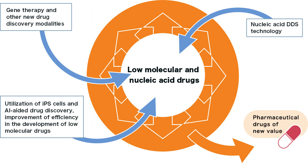 Low molecular and nucleic acid drugs