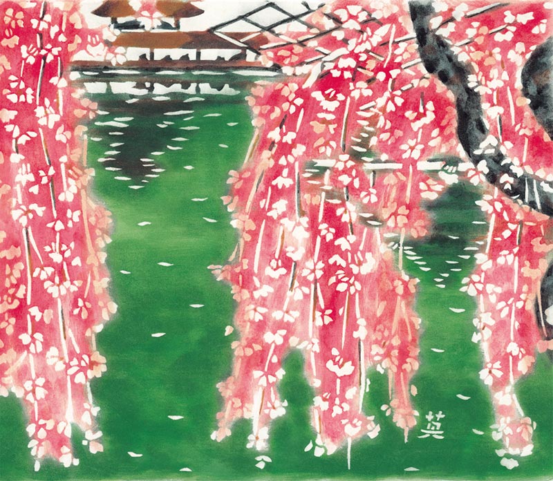 平安神宮 外苑の桜