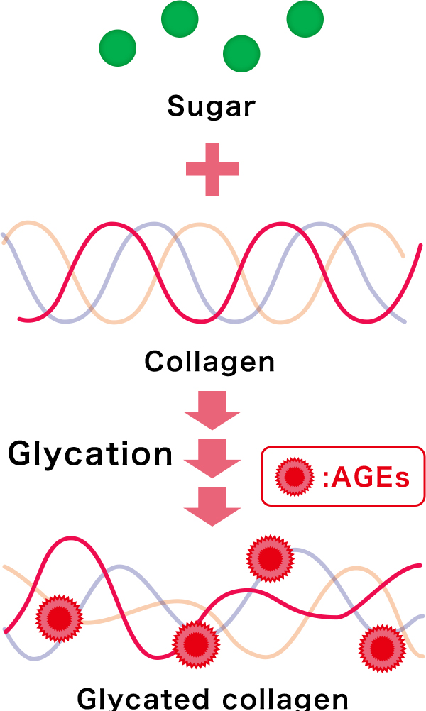 Glycation