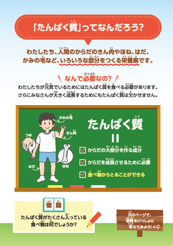 「たんぱく質」ってなんだろう