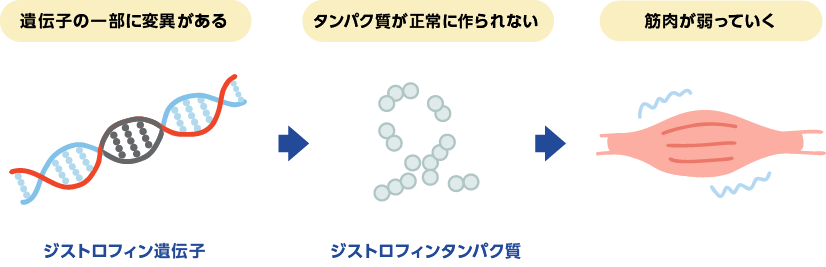 遺伝子の一部に変異がある