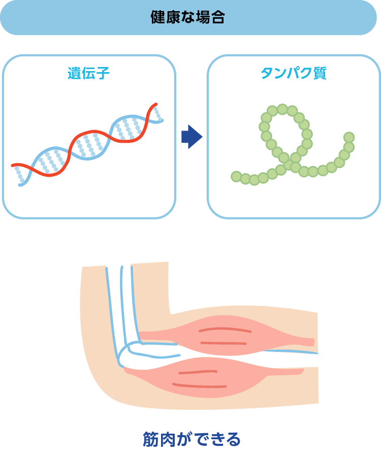 健康な場合