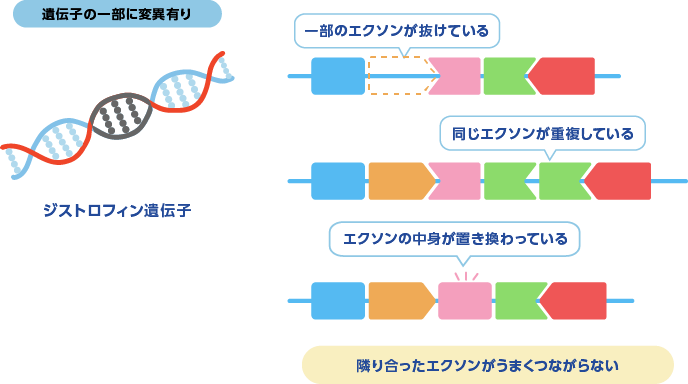 遺伝子の一部に変異がある