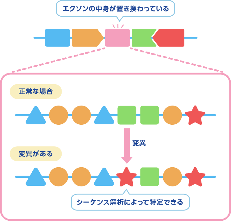 シーケンス解析