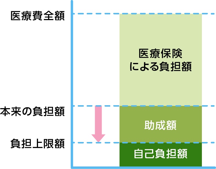 医療費助成制度の仕組み