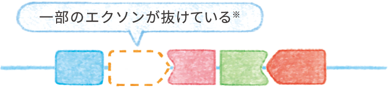 ジストロフィン遺伝子の変異部分の拡大図