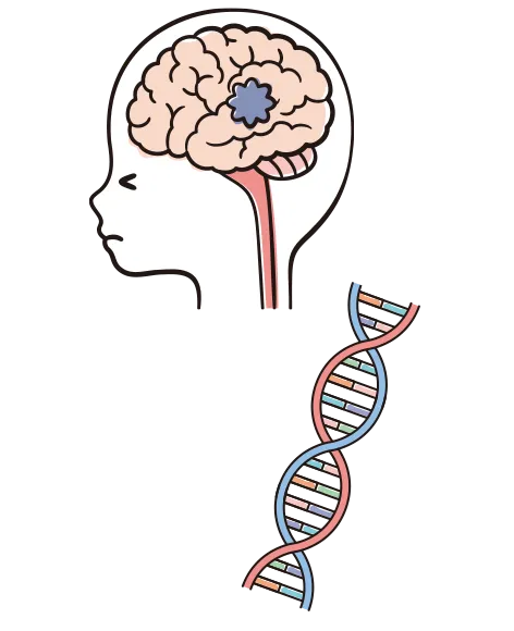 脳に障害があるイラスト。DNAのイラスト。