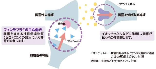 神経系のバランスを調整