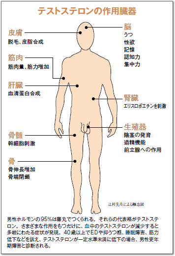 働き盛り世代を襲う男性更年期障害 男性ホルモン低下が招く多様な症状 患者さん ご家族の皆さまへ 日本新薬株式会社