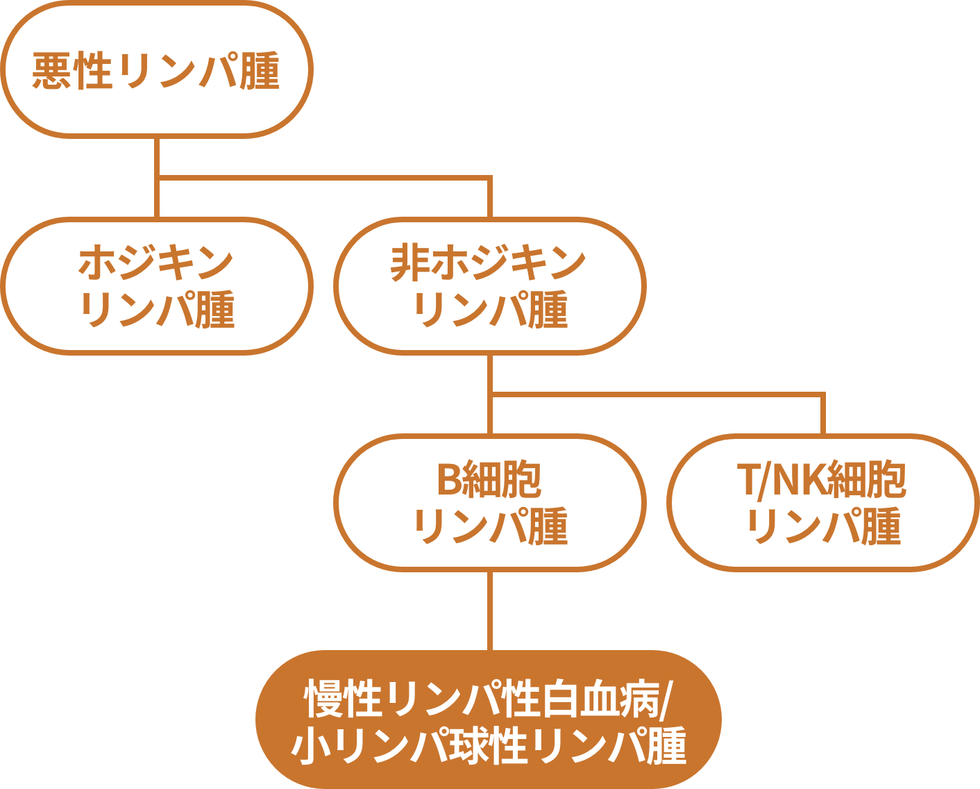 悪性リンパ腫の分類を示した図。慢性リンパ性白血病/小リンパ球性リンパ腫は非ホジキンリンパ腫で、B細胞リンパ腫の1つです。