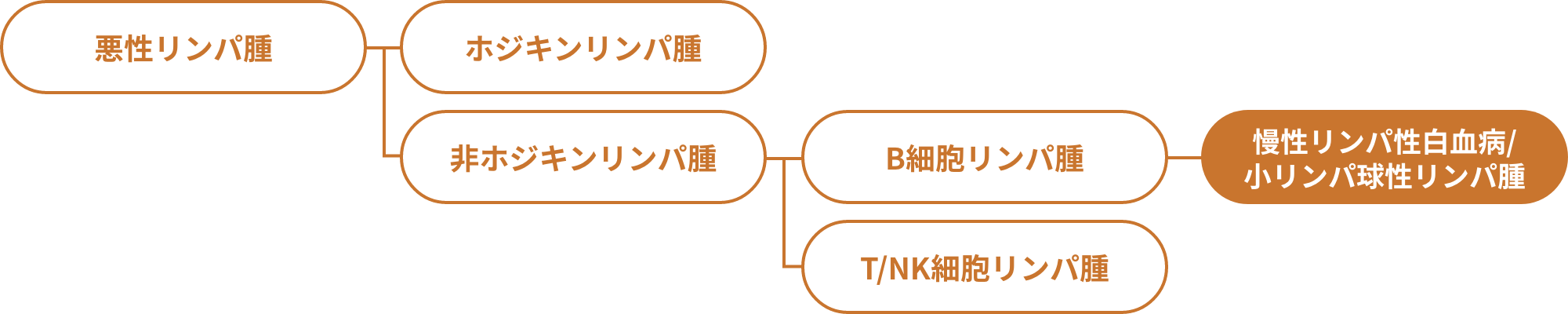 悪性リンパ腫の分類を示した図。慢性リンパ性白血病/小リンパ球性リンパ腫は非ホジキンリンパ腫で、B細胞リンパ腫の1つです。