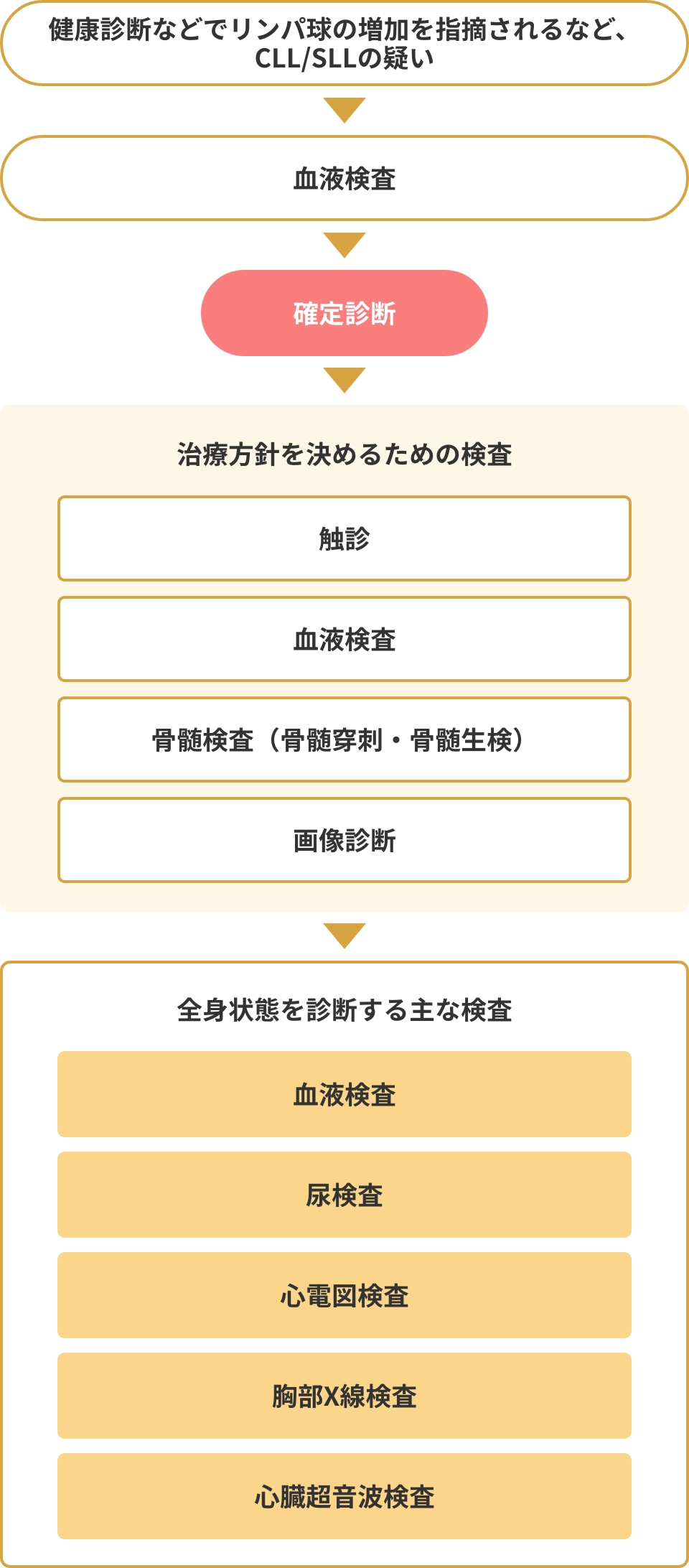 主な検査の流れを示した図。血液検査で確定診断を行い、その後、治療方針を決めるための検査、全身状態を調べる検査を行う。
