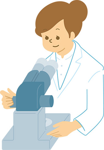 顕微鏡を用いて検査を行っている医師のイラスト