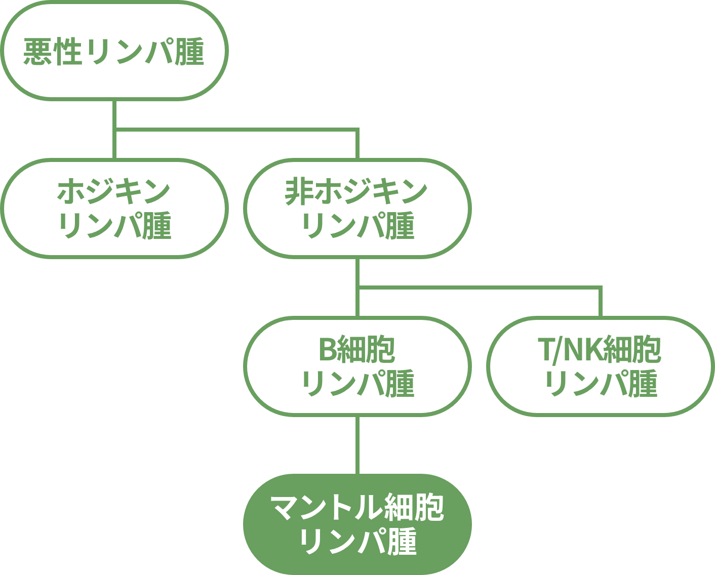 悪性リンパ腫の分類を示した図。マントル細胞リンパ腫は非ホジキンリンパ腫で、B細胞リンパ腫の1つです。