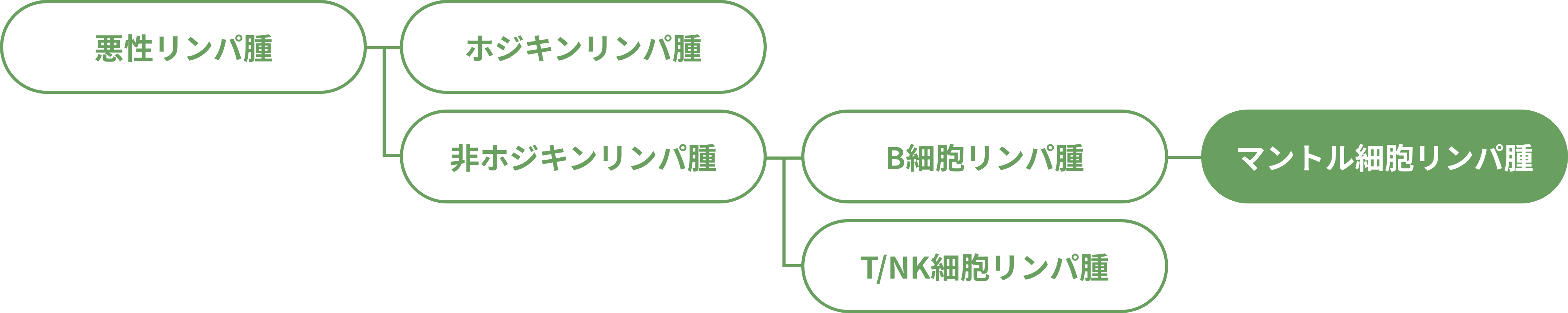 悪性リンパ腫の分類を示した図。マントル細胞リンパ腫は非ホジキンリンパ腫で、B細胞リンパ腫の1つです。