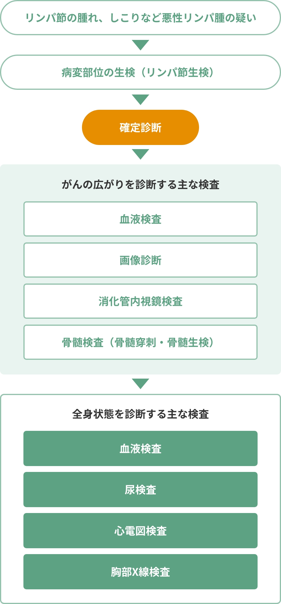 主な検査の流れを示した図。リンパ節生検で確定診断を行い、その後、がんの広がりを調べる検査、全身状態を調べる検査を行う。