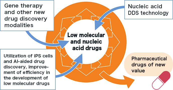 Low molecular and nucleic acid drugs