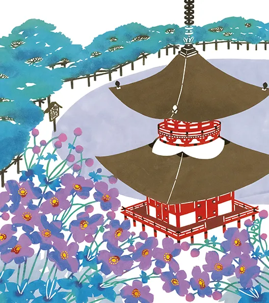 善峯寺の秋明菊