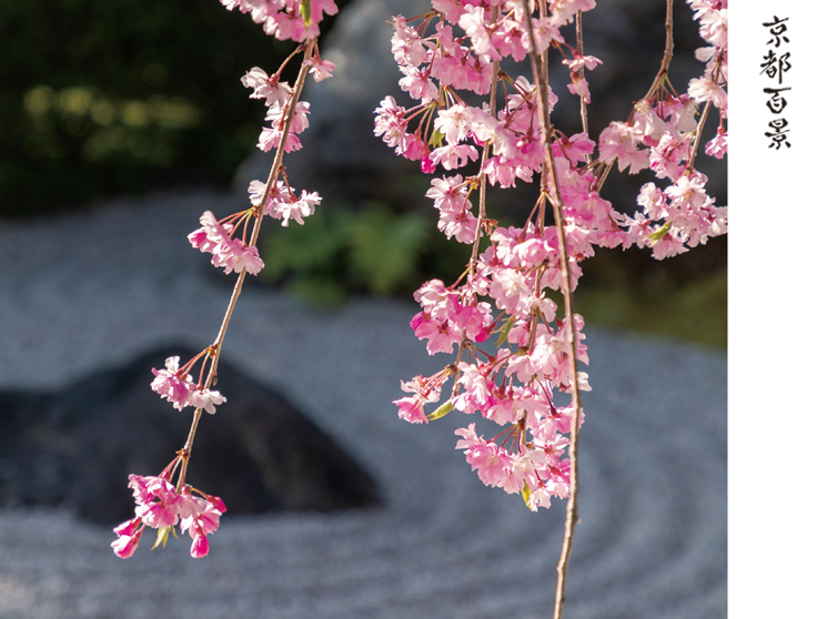 装束司 黒田知子さん