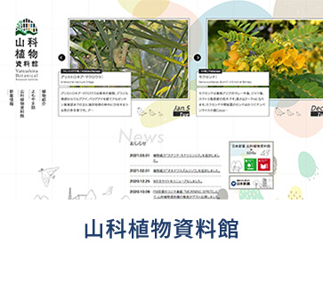 山科植物資料館サイト