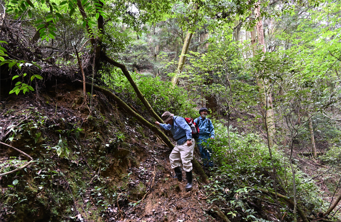 世界文化遺産「醍醐寺」山林の植物調査