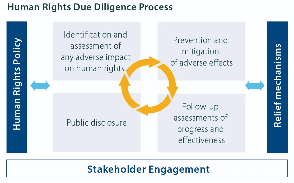 Human rights due diligence  process